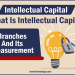 Intellectual Capital- बौद्धिक पूंजी क्या है, शाखाएं और उसका माप