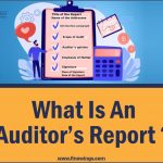 Auditor Report क्या है?
