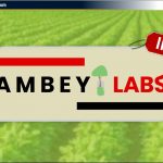 Ambey Laboratories Ltd IPO: जानिए Review, Valuation, Date & GMP