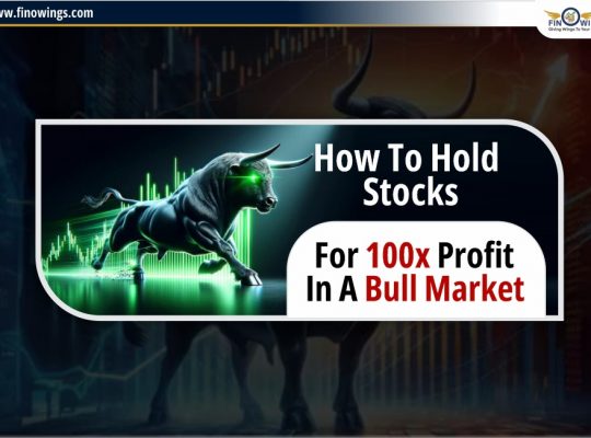 How to Hold Stocks for 100x Profit in a Bull Market