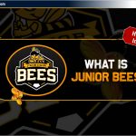 Nifty Next 50 Junior Bees क्या है और Junior Bees में निवेश कैसे करें?